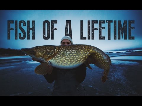 The Fish Of A Lifetime - Small Fish Stories
