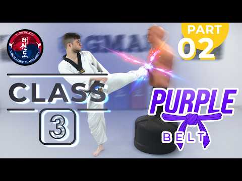 Taekwondo - Purple Belt - Class 3 (Part 2) thumbnail