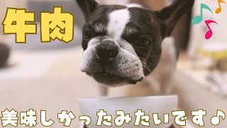 愛犬とすき焼きを楽しみました😆✨