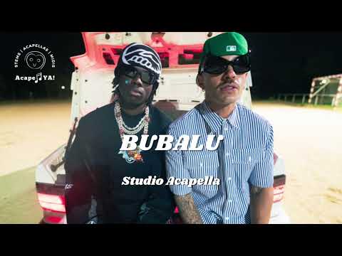 Feid ft. Rema - BUBALU (Studio Acapella)