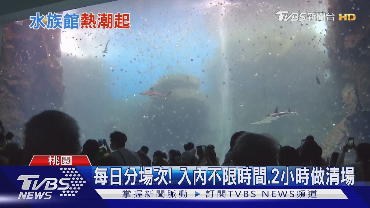 日海生館來台開幕! 預售票秒殺湧現人潮