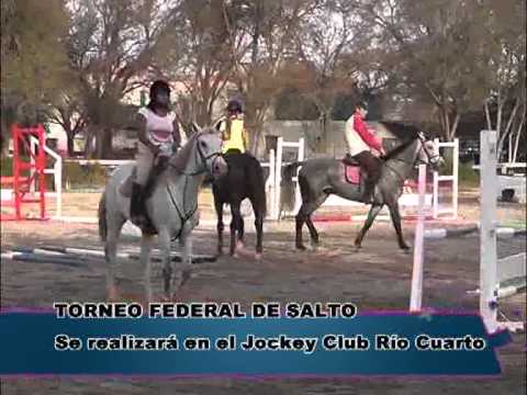Deporte Abierto: Nota - Saltos hipicos