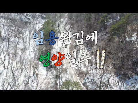 [영양군] 임용된 김에 영양일주 - 2화(영양자작나무숲 어때? 끝내주지?)