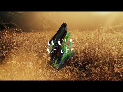 MarmorMetall presents: Loops of Life_#010 - MarmorMetall