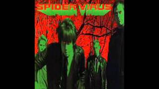 Spider Virus - Sometimes You Feel Like A Nut