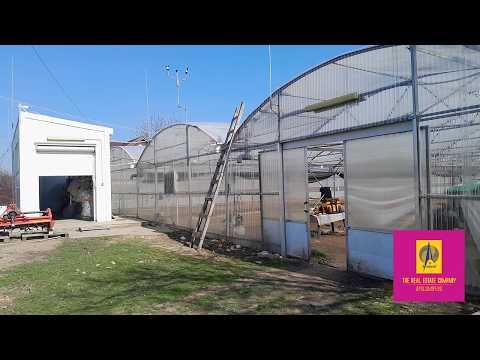 IALOMITA - SE VINDE TEREN 3100 MP - SAT ROSIORI — Video