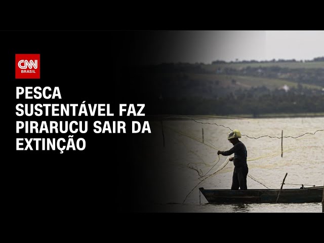 Pesca sustentável faz pirarucu sair da extinção | CNN NOVO DIA