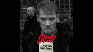 Dziwna Wiosna prezentuje singiel Strzęp