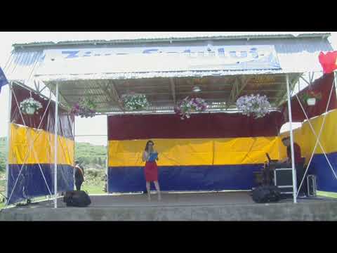 ZIUA COMUNEI BALTENI