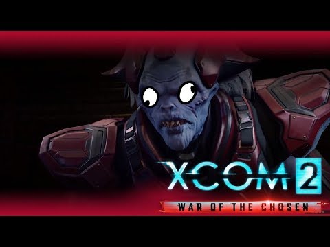 T H E E L D E R S G R E A T E S T C H A M P I O N