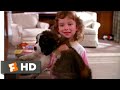 Beethoven 1992 The New Puppy Scene 1 10 Movieclips