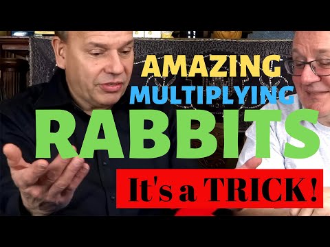 Multiplying Rabbits Set - Does a Rabbit Come From an Egg? - MagicTricks.com