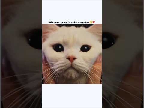 In the end his reaction 😅 || Kdrama 🎭 Meow The Secret Boy #fv #shortvideo