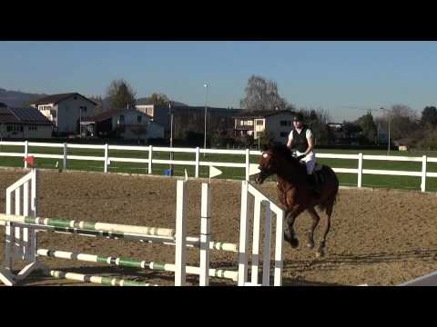 Katja Flessati an der Vereinsmeisterschaft 2014