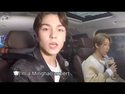 Vernon and Minghao: Seventeen's Peaceful Duo (Verhao Friendship Moments)
