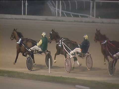 Trotto 18/12/2018 - 4ª corsa