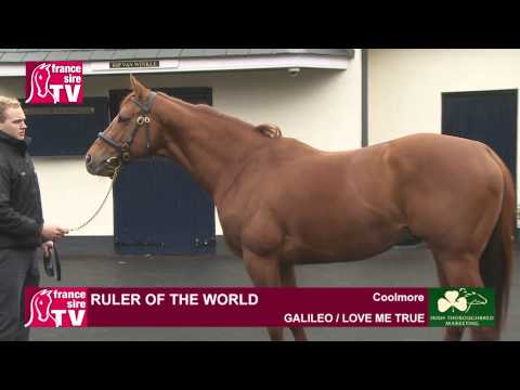 Coolmore Stud Ireland - Irish Stallion Trail 2015