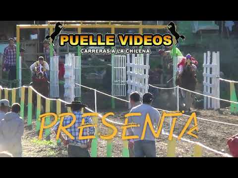 GRAN JOYA VS JAMAICANO