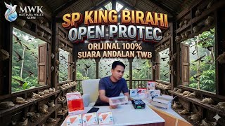 Download lagu SP KING BIRAHI OPEN PROTEC | Bukti Nyata Walet Nyerbu LMB! ORI 100% mp3