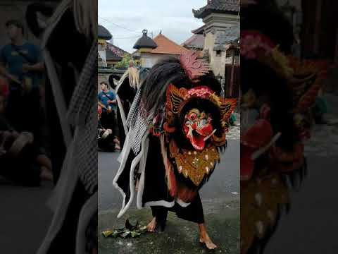 Ngelawang Barong di Desa Adat Sading 13/11/2021