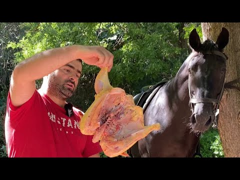 Epic Fried Whole Chicken👍 Crispy Chicken Recipe | Street Food Recipes