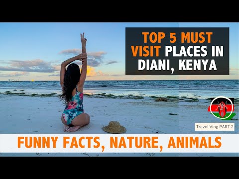 Top 5 must visit places in Diani Beach Kenya | Funny Facts about Kenya | Africa Travel vlog guide |
