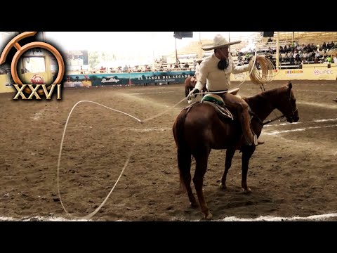 Horseback Riding Manganas, August 30 - THV Millionaire Championship 2023