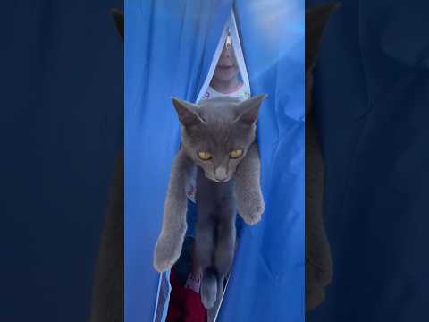 ABRE A PORTA MARIQUINHA 🤣🤣🤣