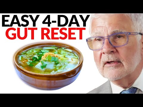 Der ultimative 4-Tage-Reset für Ihre Darmgesundheit | Dr. Steven Gundry