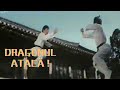 Dragonul Ataca Arte Martiale Karate Dublat In Limba Romana
