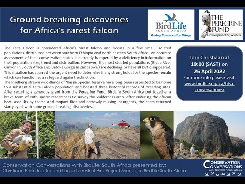 Conservation Conversations: Ground-breaking discoveries for Taita Falcons- Christiaan Brink 26Apr22