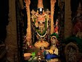 Tirupati Perumal Whatsapp Status