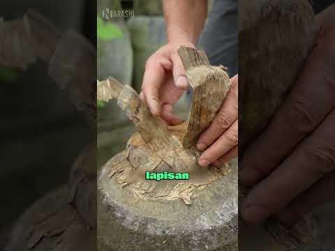 Membuka Kendi Tua 😮