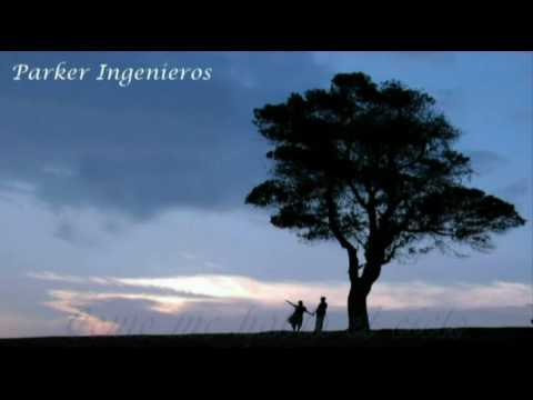 En mis sueños mejores