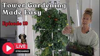 Tower Gardening Made Easy LIVE STREAM #towergarden #gardening #hydroponicgardening #farm