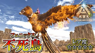 【ASA：Scorched Earth】【PS5】#22 レア度MAX！不死鳥・フェニックスをテイム！&ボス戦準備でワイバーンの爪収集！【ARK Survival Ascended】