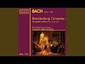 Brandenburg Concerto No. 4 in G Major, BWV 1049: II. Andante
