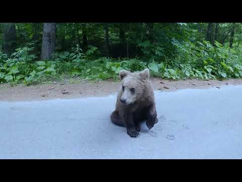 Flavours of Romania Season 2 coming soon