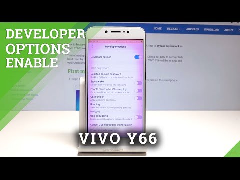 Developer Options in VIVO Y66 - OEM Unlock & USB Debugging