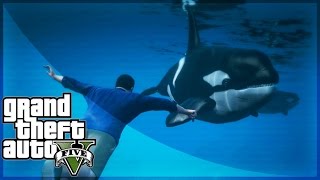 GTA 5 Whales, Dolphins, Hammerhead Sharks & Stingrays Gameplay! (GTA 5 PS4 Gameplay)