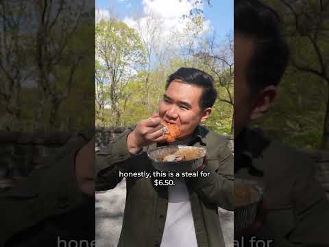 1 day. 3 meals. $15. The Bronx.