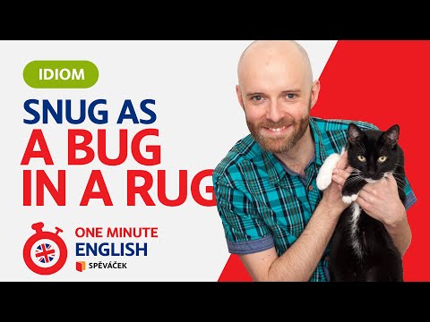 ONE MINUTE ENGLISH! SNUG AS A BUG IN A RUG (EPISODE 175)