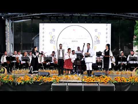 Delia Gandore - Premiul special al juriului (Festivalul „Strugurele de aur” - Jidvei - 05.09.2025)