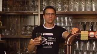 preview picture of video 'Birreria Artigianale Campania...Intervista responsabile eventi'