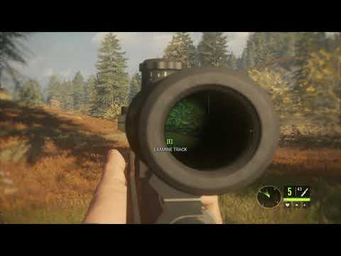 MongoTV_5848 - Mongo Games - theHunter - Call Of The Wild - Part 4