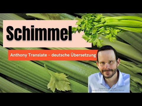 Schimmel ist nie die Ursache, sondern ein Auslöser – Anthony William – deutsche Übersetzung