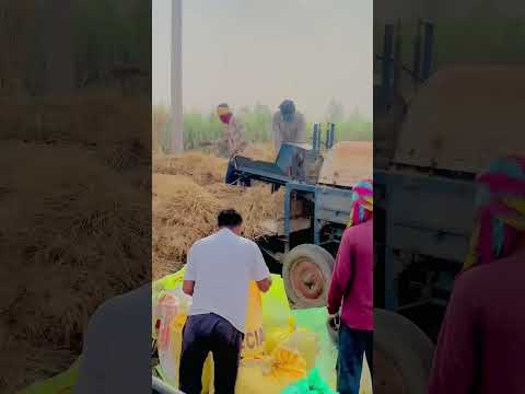 rang chocolate ver ga # #farming #tractor #viral #mahindra #love #modified #farmingtractor #shorts