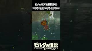 ヒノックスと戦ってたらコログに出会ったリンクｗｗ【ゼルダの伝説 ブレス オブ ザ ワイルド】