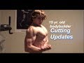 Cutting Updates | Steven G | Shredding series ep.5