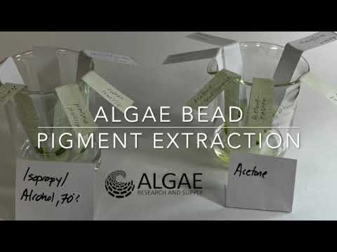Algae Bead Pigment Extraction